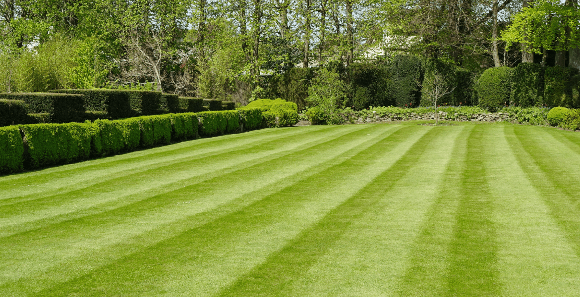 Los Boss Landscaping