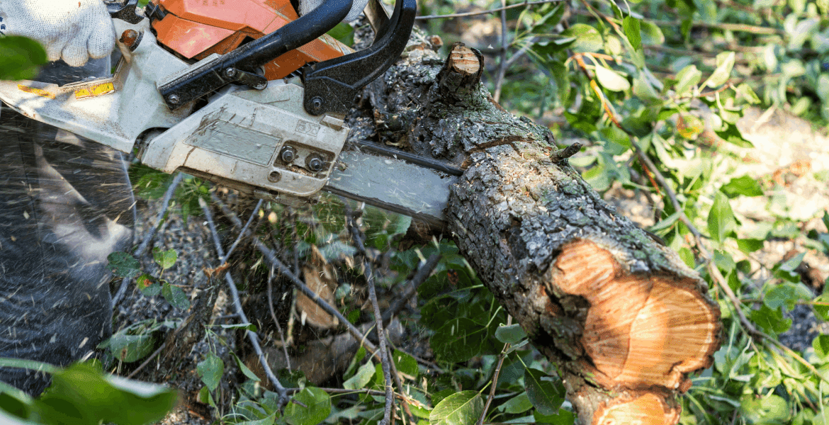 Los Boss Landscaping